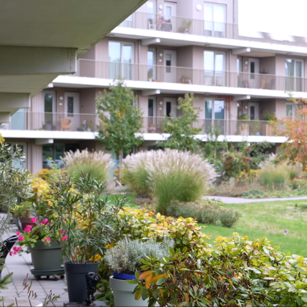 Samen goed oud worden in woongemeenschap Ubuntuplein in Zutphen