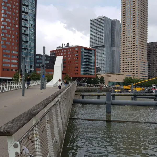 Meerdere gebouwen rondom water en brug