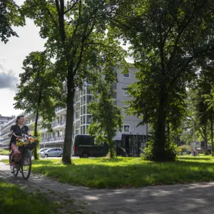 Park met gebouwen op achtergrond