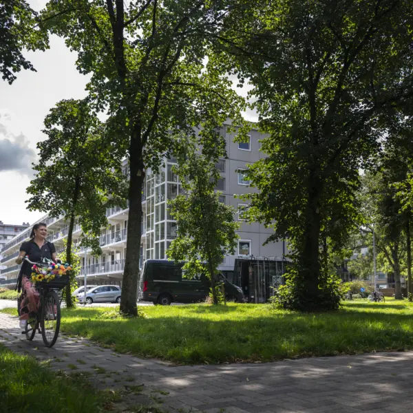 Park met gebouwen op achtergrond