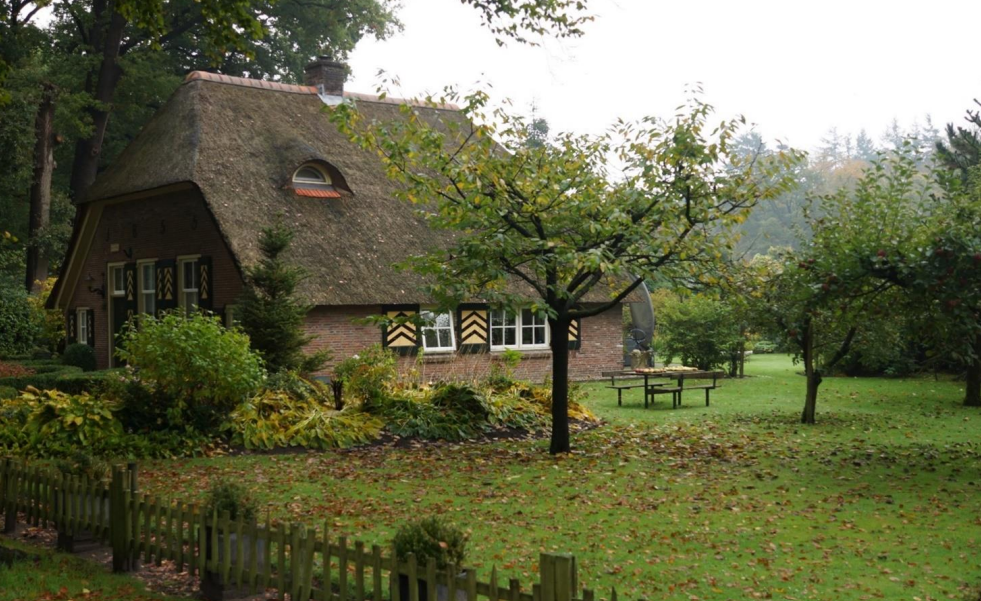 Van stad naar platteland - Platform31 | Kennis en netwerk voor stad en