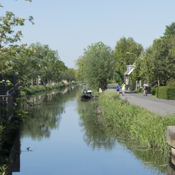 Sfeerbeeld Alblasserwaard