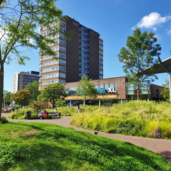 Bogaardplein, Rijswijk