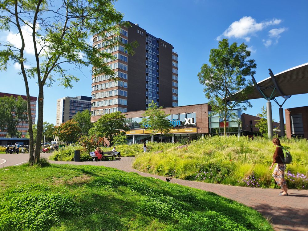 Bogaardplein, Rijswijk