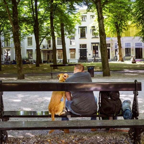 Man op bankje met hond in Den Haag.