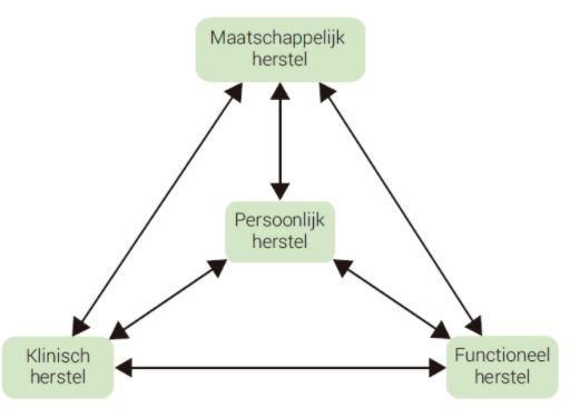 Illustratie met verschillende vormen van herstel. Bron: Van der Stel, 2015