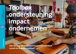 P31 Toolbox Impact ondernemen