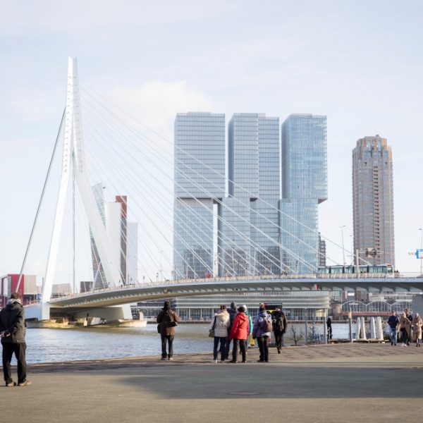 Rotterdam Erasmusbrug met uitzicht op woongebouwen Rotterdam Zuid