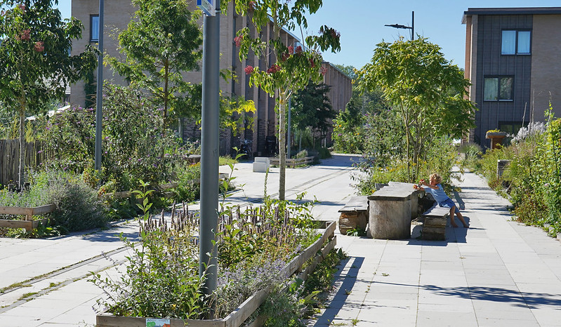 Natuurinclusieve woonstraat in Eindhoven