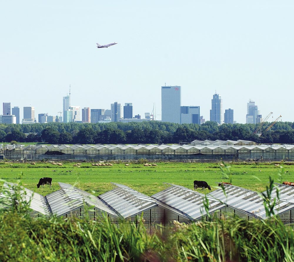 Rotterdam Delfland uitzicht op de stad