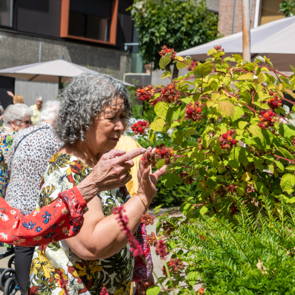 Twee ouderen bekijken en plukken bessen in een groene gemeenschappelijke tuin bij een wooncomplex.